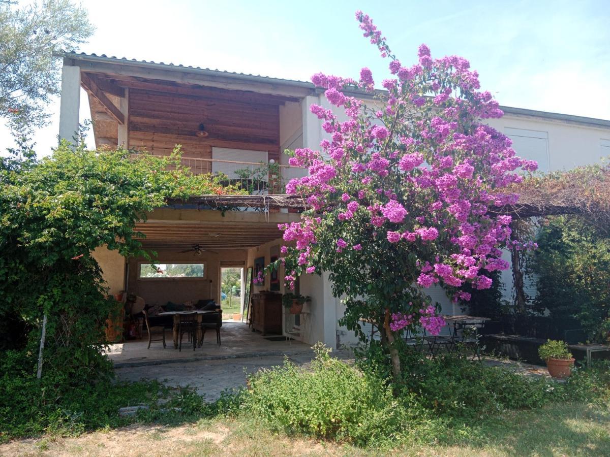 Domaine Limouzy Villa Нарбон Екстериор снимка