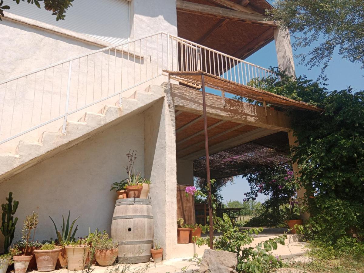Domaine Limouzy Villa Нарбон Екстериор снимка