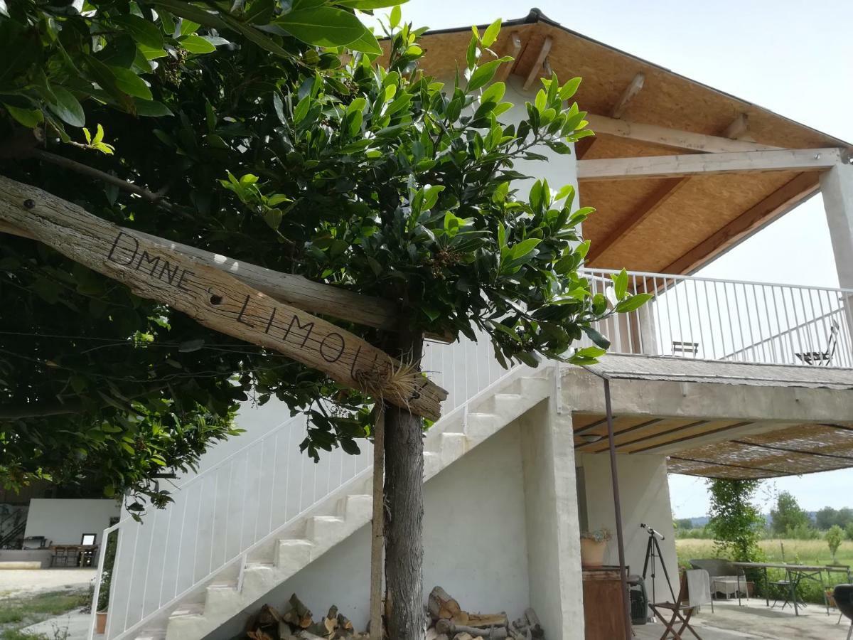 Domaine Limouzy Villa Нарбон Екстериор снимка