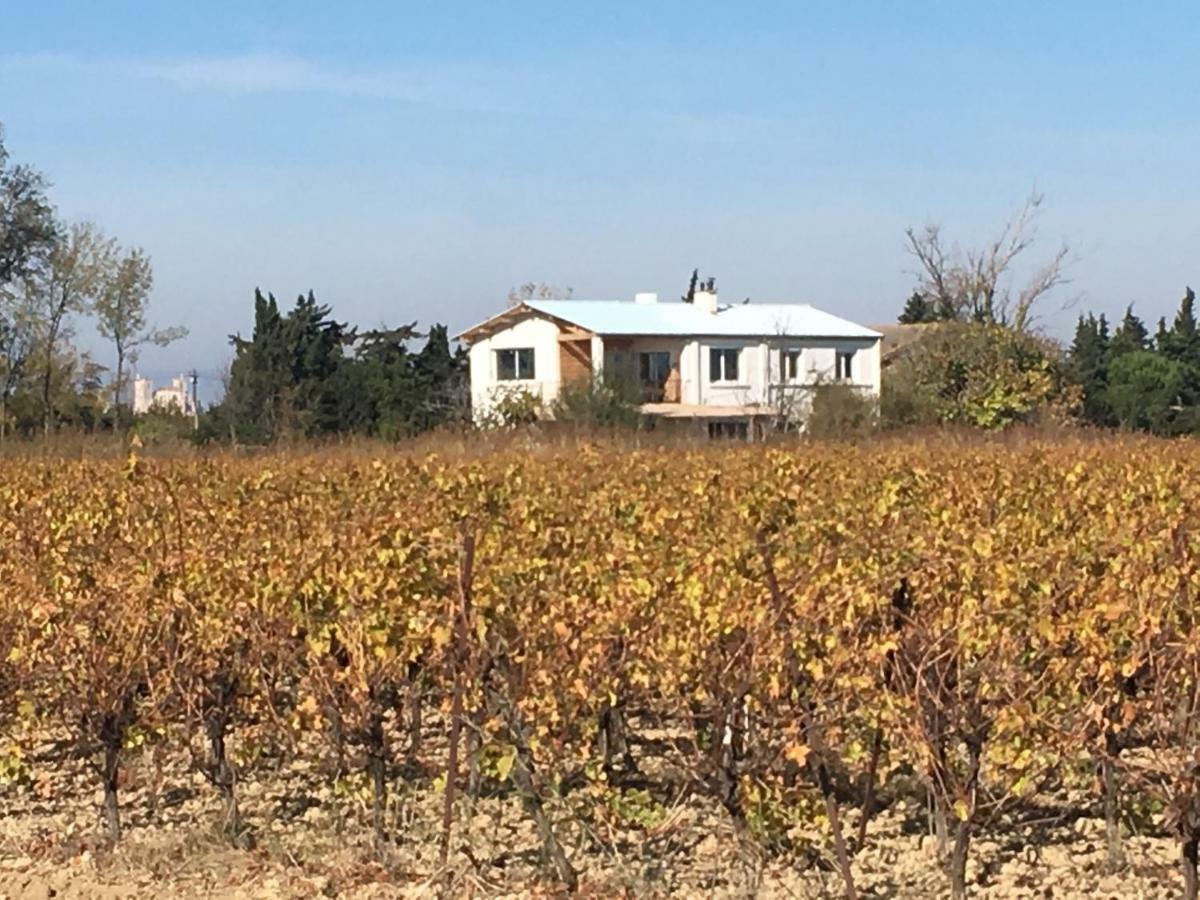 Domaine Limouzy Villa Нарбон Екстериор снимка